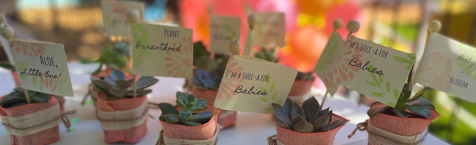 Baby Prep with Queen of To Do