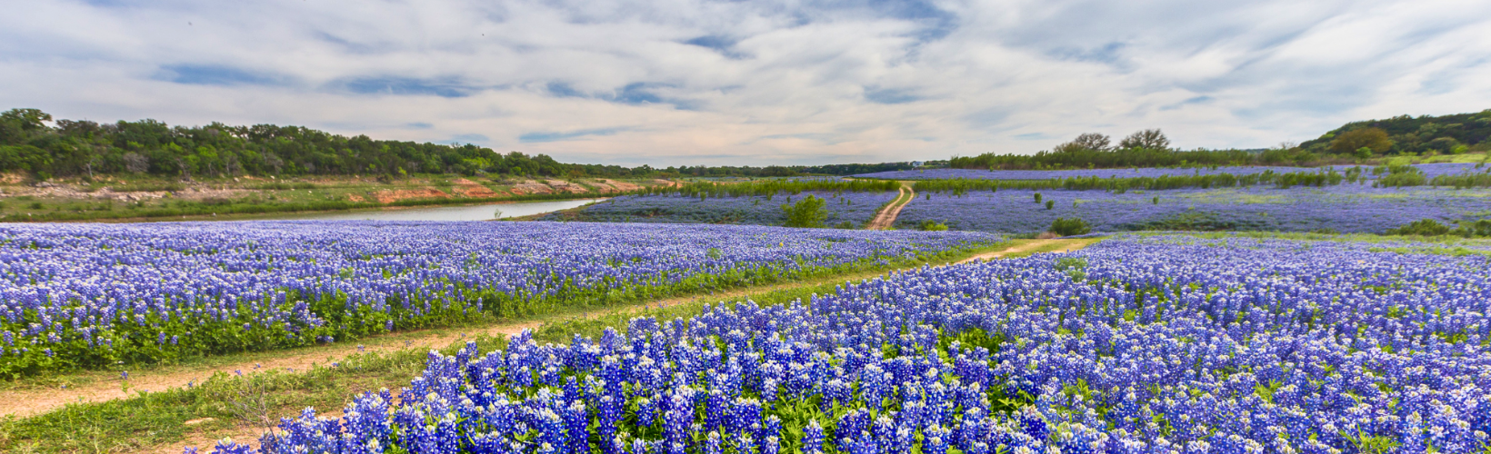 Spring Cleaning The Things You Don’t Think About