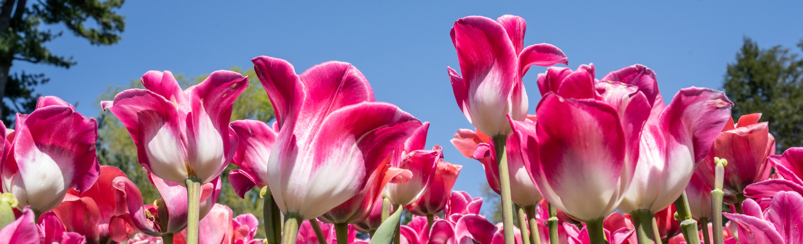 Spring Cleaning The Things You Forgot About