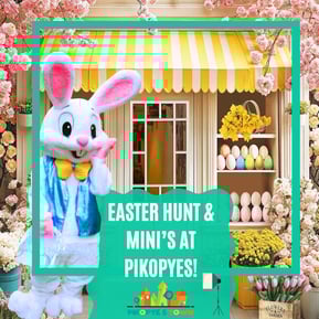 appointmentType-88021705